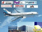 北京安可國際貨運代理 一站式國際物流與供應鏈解決方案