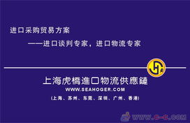 專業(yè)護航，高效通關 上海進口報關代理服務全解析